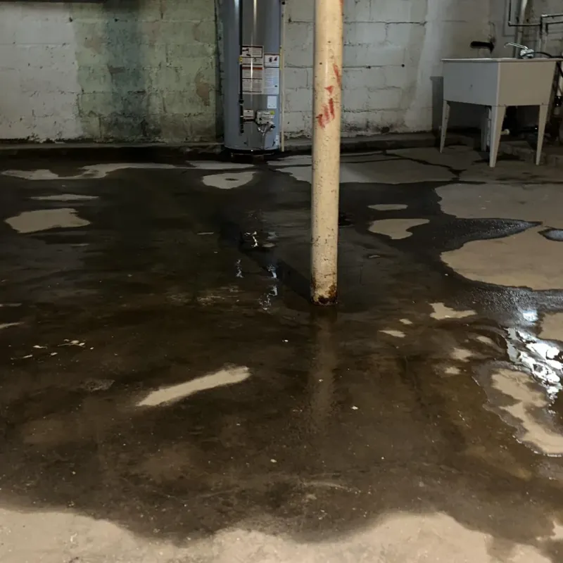 Emergency Water Extraction And Removal in Lakewood Club, MI